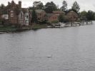 PICTURES/Marlow, UK/t_Marlow6.JPG